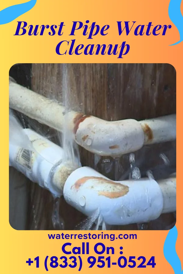 Burst Pipe Water Cleanup in Hermitage, MO
